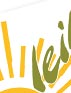 Création logo