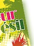 Création Flyer